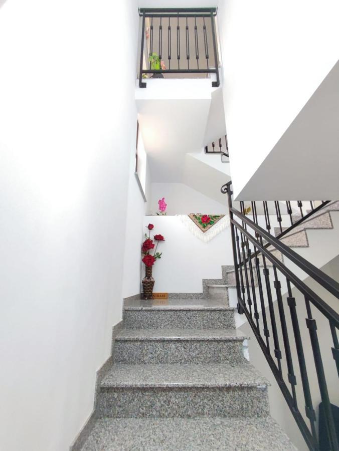 Vila Casa Hatere Мойсей Екстер'єр фото